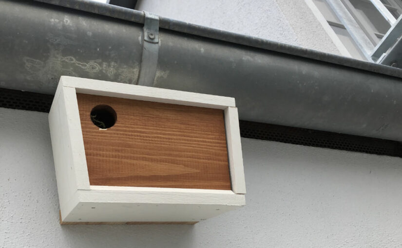 Nistkasten "Bauhaus"